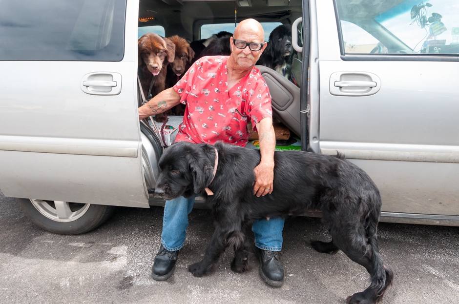 "Dog Transporter Guy" (I-80 NE)
